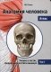 Анатомия человека. Атлас. Учебное пособие. В 3-х томах. Том 1: Учение о костях, соединениях костей и мышцах фото книги маленькое 2