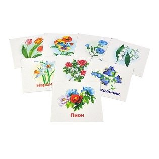 Цветы. Развивающие карточки для малышей от 1 года (12 карточек) фото книги 2