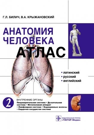 Анатомия человека. Атлас в 3-х томах. Том 2. Внутренние органы фото книги