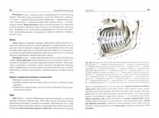Анатомия человека фото книги 2