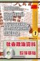 Китайский язык. Общественно-политический перевод. Книга 1 (+ CD-ROM) фото книги маленькое 2