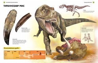 Всё о динозаврах. Энциклопедия фото книги 7