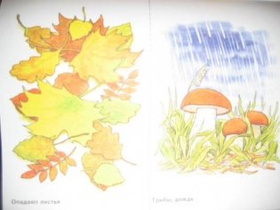 Осень в картинках. Наглядное пособие для педагогов, логопедов, воспитателей и родителей
