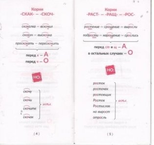 Русский язык. Главные правила. 5-9 классы фото книги 4