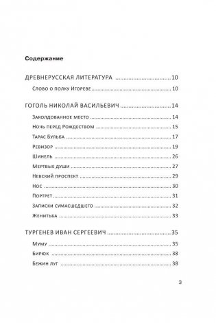 Русская литература. XII - XX века. Пособие фото книги 3