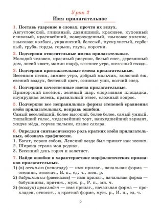 Русский язык. Тетрадь для повторения и закрепления. 7 класс фото книги 6