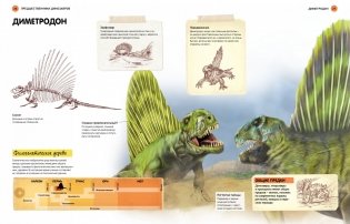 Всё о динозаврах. Энциклопедия фото книги 3