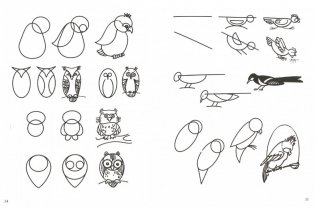 Рисуем животных по алгоритмическим схемам. 5-7 лет. ФГОС фото книги 2