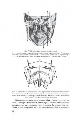 Травмы и восстановительная хирургия челюстно-лицевой области фото книги 15