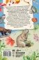 Рассказы о животных фото книги маленькое 3