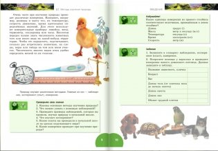 Введение в биологию. 5 класс. Учебник. Линия "Ракурс". ФГОС фото книги 6