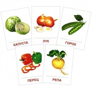 Демонстрационные картинки Супер. Овощи. 16 раздаточных карточек с текстом фото книги 2