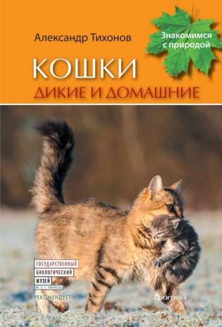 Кошки дикие и домашние фото книги