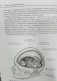 Анатомия нервной системы и органов чувств. Учебное пособие фото книги маленькое 7