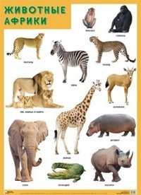 Демонстрационный материал "Животные Африки" фото книги