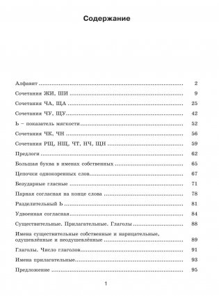 30 000 учебных примеров и заданий по русскому языку на все правила и орфограммы. 3 класс фото книги 3
