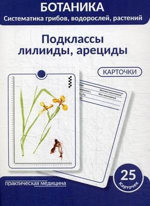 Ботаника. Систематика грибов, водорослей, растений. Блок 5: Подклассы лилииды, арециды. 25 гербарных карточки фото книги