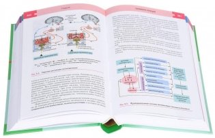 Анатомия и физиология человека. Учебное пособие для студентов учреждений среднего профессионального образования фото книги 3