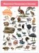 Комплект плакатов "Животные мира" фото книги маленькое 10