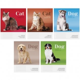Тетрадь "Питомцы. Cat/Dog", 48 листов фото книги