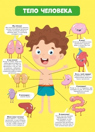 Вирусы и микробы. 10 познавательных плакатов фото книги 8