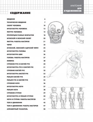 Анатомия для художников фото книги 2