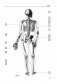 Анатомия человека. Компактный атлас-раскраска фото книги маленькое 9