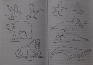 Животные: виды, особенности, места обитания фото книги 6