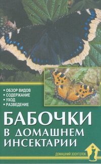 Бабочки в домашнем инсектарии фото книги