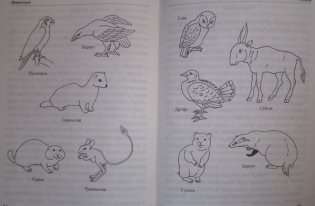 Животные: виды, особенности, места обитания фото книги 7
