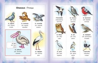 Французско-русский визуальный словарь для детей фото книги 8
