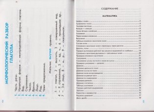 Дружок: Правила по русскому языку и математике для начальных классов фото книги 2