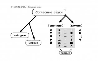 Все правила русского языка в схемах и таблицах для начальной школы фото книги 8