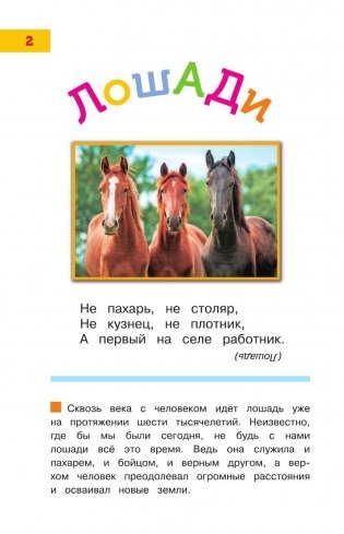 Лошади и пони фото книги 3