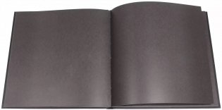 Black Note. Альбом для рисования на черной бумаге + комплект из 2-х белых ручек и белого карандаша фото книги 2