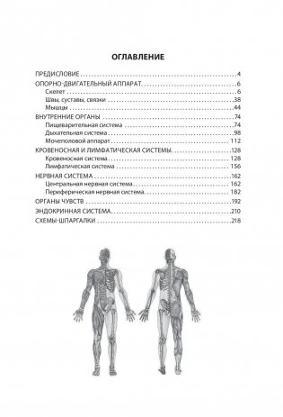 Анатомия человека. Компактный атлас-раскраска фото книги 2