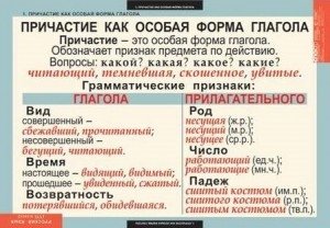 Комплект таблиц "Русский язык. 7 класс" (13 плакатов) фото книги