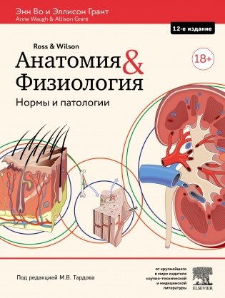 Анатомия и физиология. Нормы и патологии фото книги