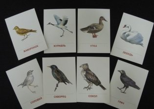 Демонстрационные картинки Супер. Перелетные птицы.16 раздаточных карточек с текстом фото книги 4
