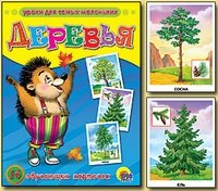Обучающие карточки "Деревья" фото книги