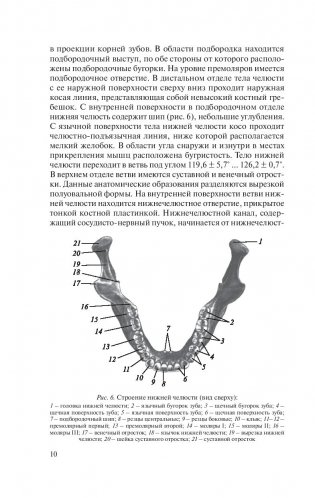 Травмы и восстановительная хирургия челюстно-лицевой области фото книги 11