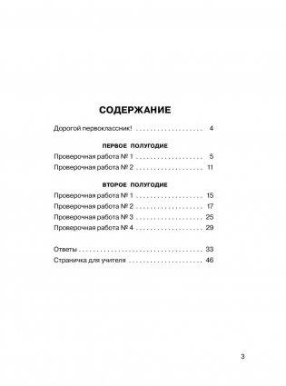 Русский язык. Проверочные работы и контрольные задания. 1 класс фото книги 4