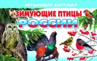 Обучающие карточки "Зимующие птицы России" фото книги