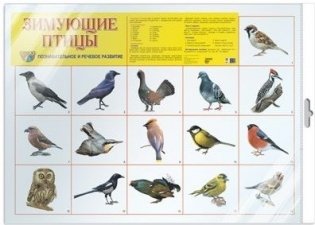 Плакат А2 "Зимующие птицы" (в пакете) фото книги