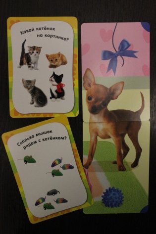 Развивающие карточки "Развиваем внимание и память", 36 карточек фото книги 4