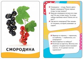 Развивающие карточки "Овощи, фрукты, ягоды"