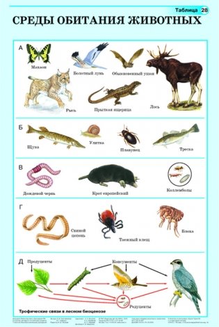 Биология: Животные. 7 класс. Демонстрационные таблицы фото книги 7