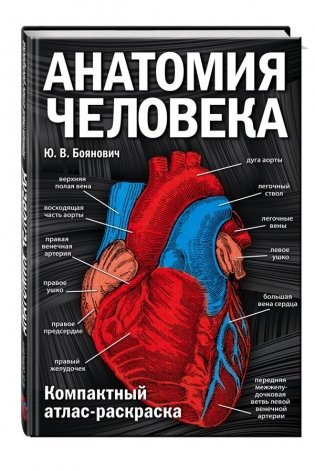 Анатомия человека. Компактный атлас-раскраска фото книги