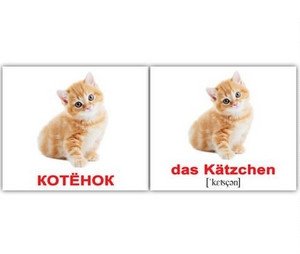 Набор карточек "Вундеркинд. Немецкий язык. Домашние животные" (20 штук) фото книги