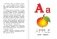 Английский алфавит в картинках. 100 развивающих заданий на карточках фото книги маленькое 3